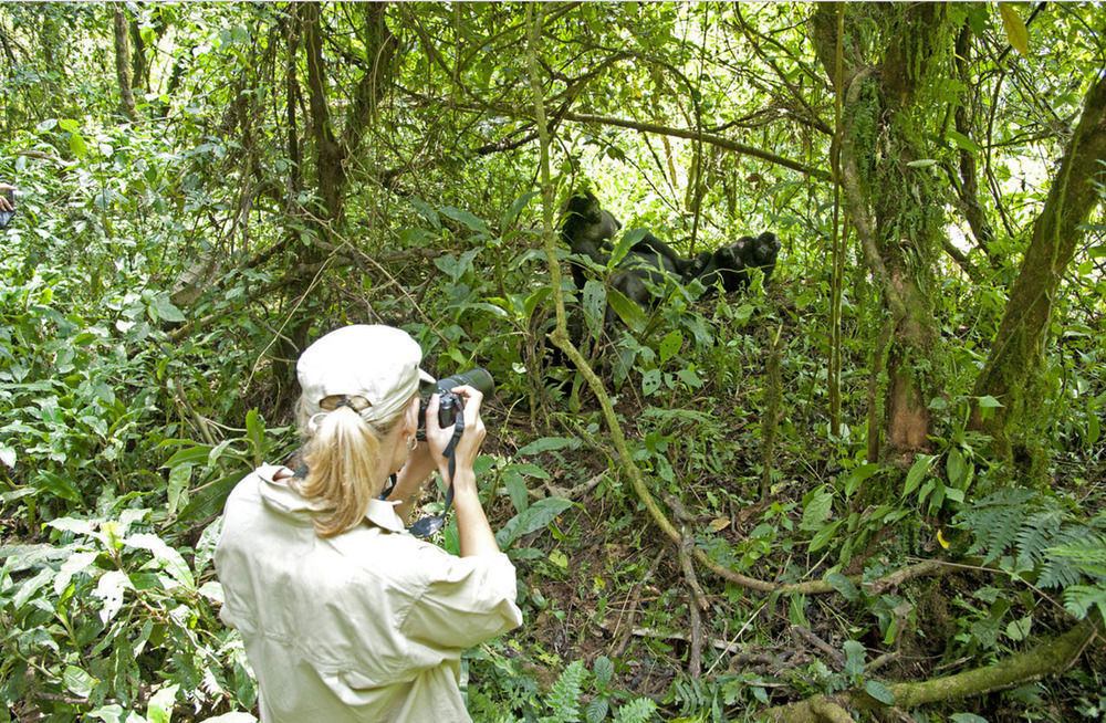 Sanctuary Gorilla Forest Camp Hotel Ntungamo  Buitenkant foto